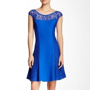 HALE BOB Blue Lace Ponte Fit & Flare A Line Dress